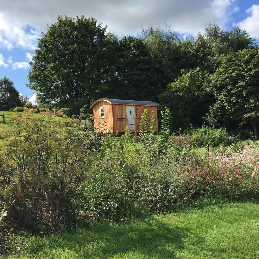 Slades Farm Glamping Vila Westbury  Exterior foto